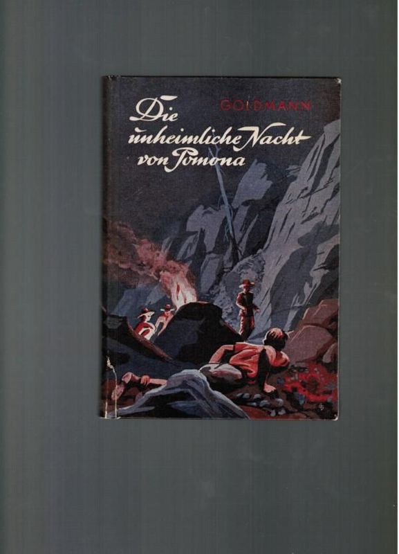 Die unheimliche Nacht von Pomona Die unheimliche Nacht von Pomona