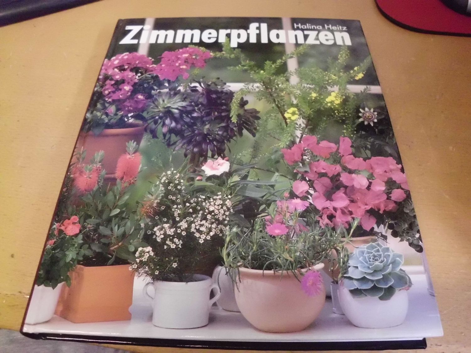 Zimmerpflanzen