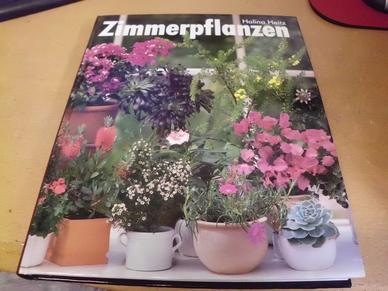 Zimmerpflanzen