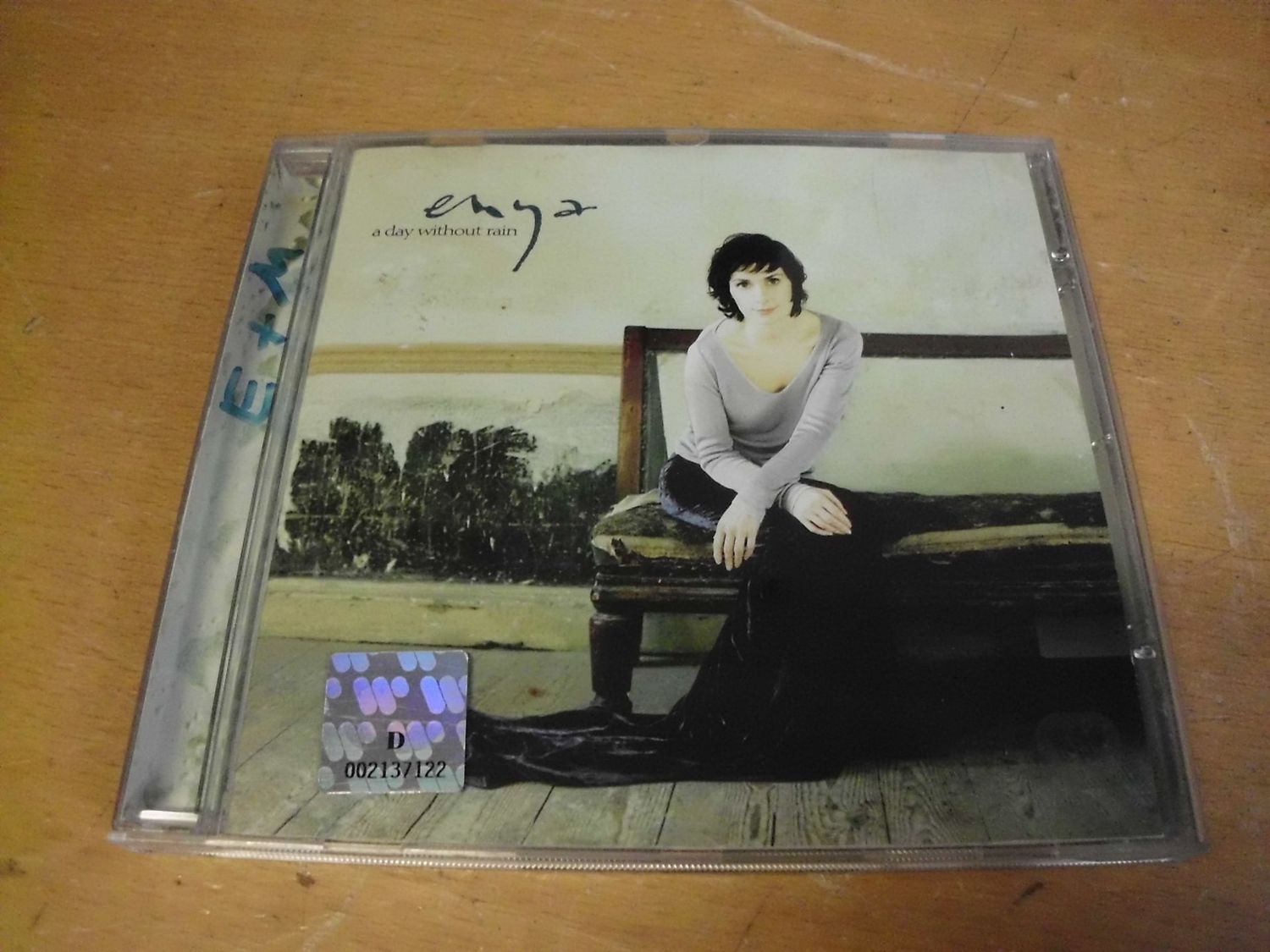 enya - a day without rain