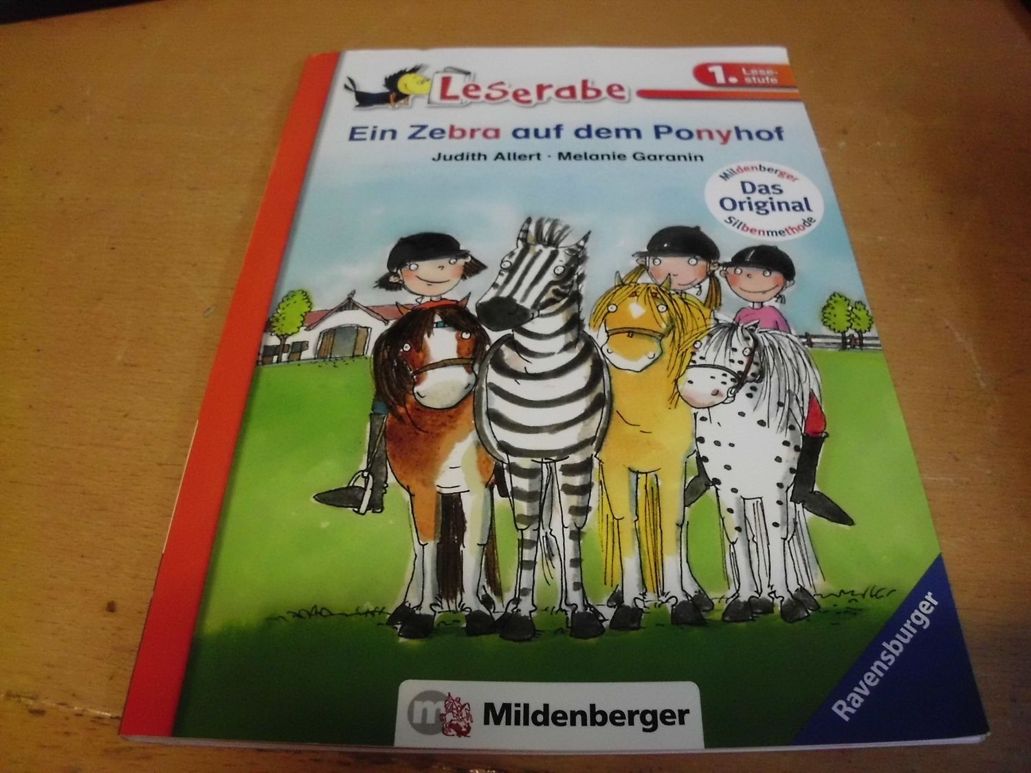 Ein Zebra auf dem Ponyhof