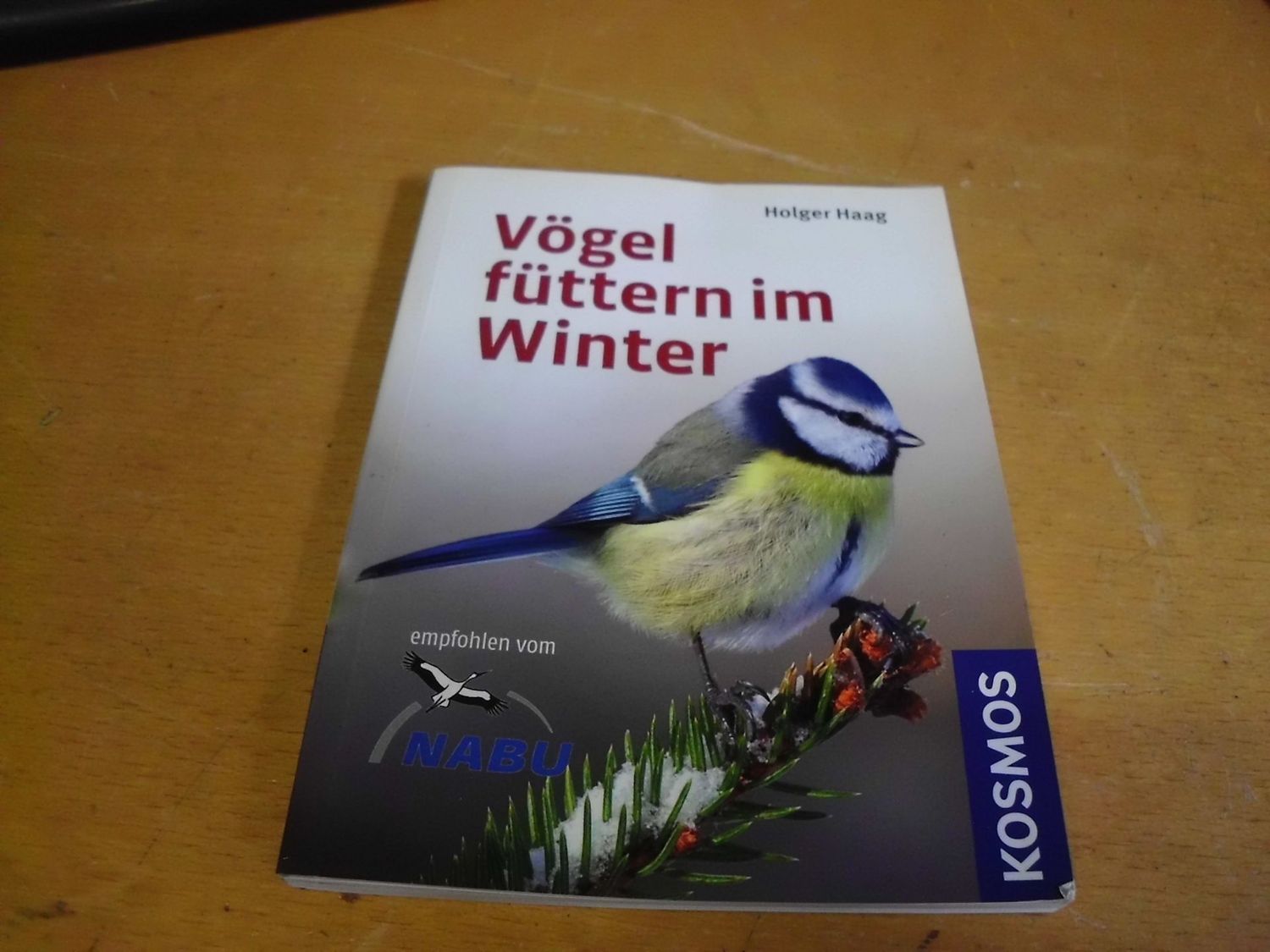 Vögel füttern im Winter