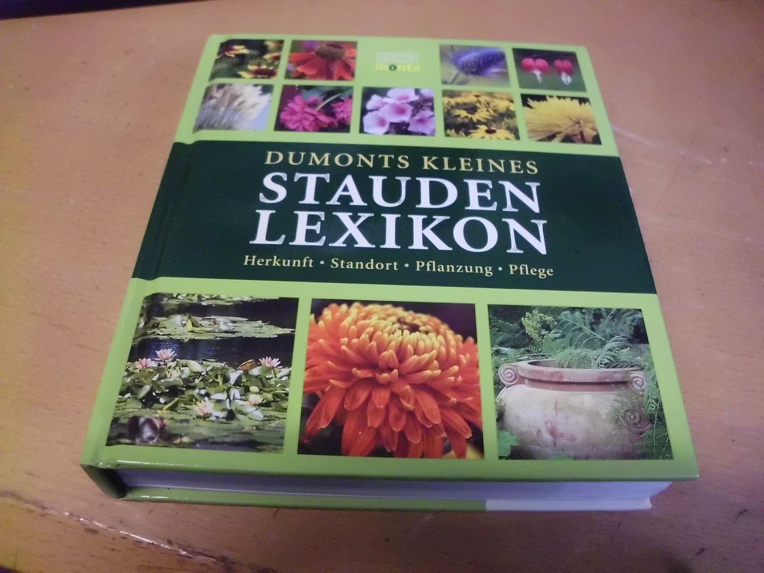 Dumonts kleines Stauden Lexikon