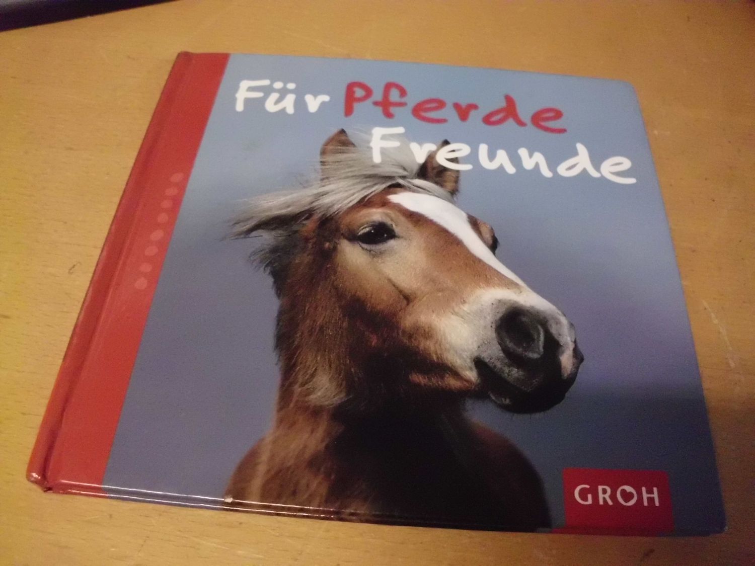 Für Pferde Freunde