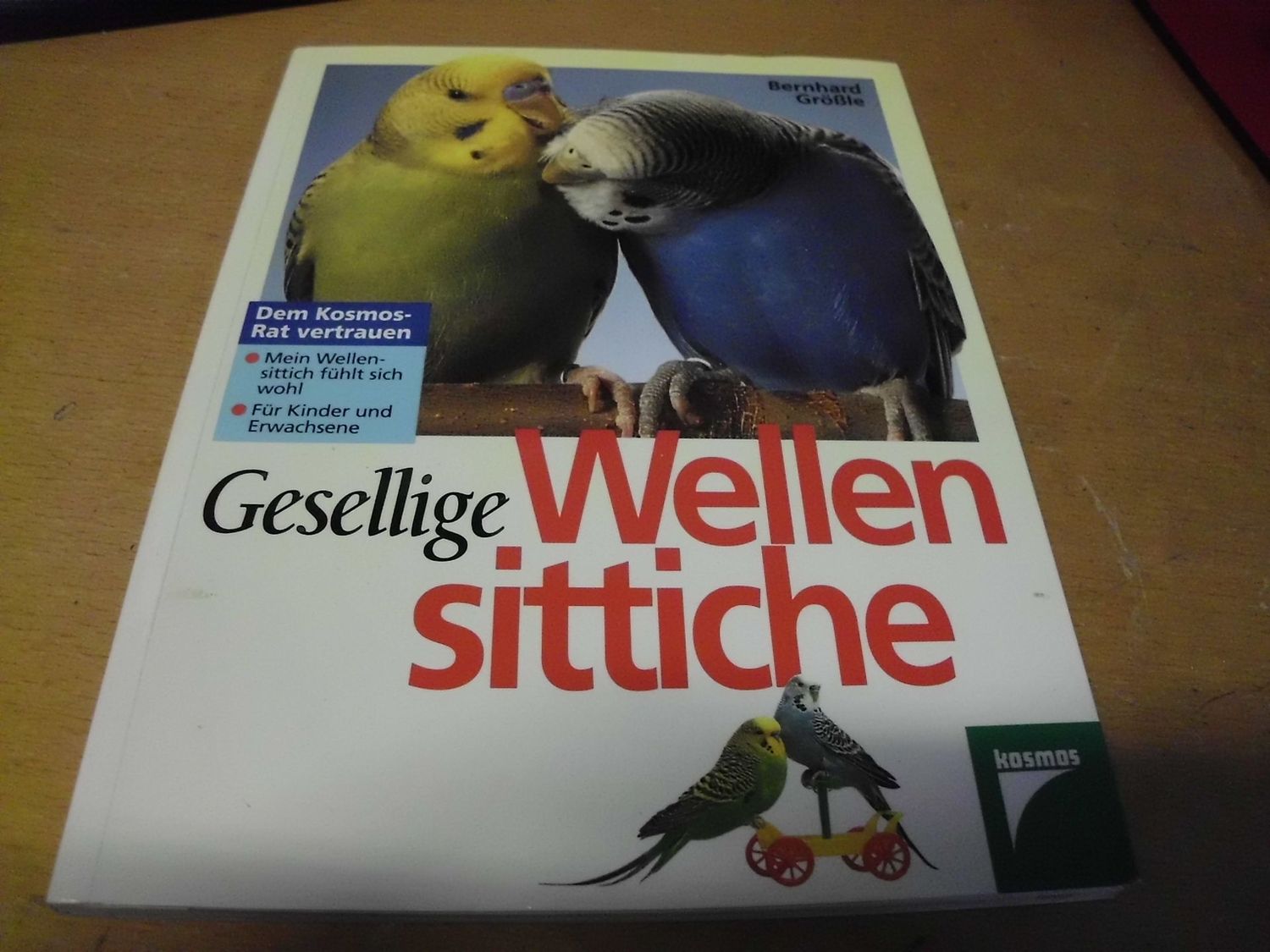 Gesellige Wellensittiche