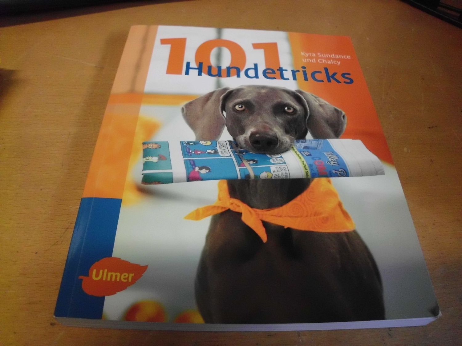 101 Hundetricks