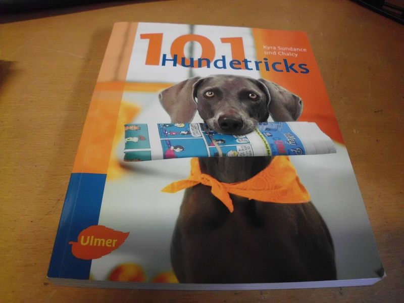 101 Hundetricks