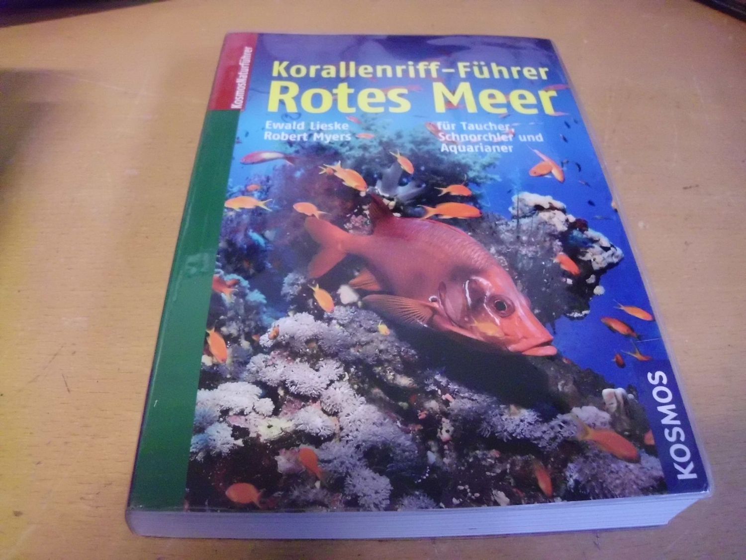 Korallenriff-Führer Rotes Meer