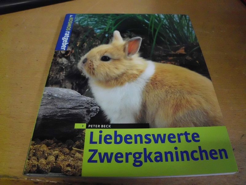 Liebenswerte Zwergkaninchen