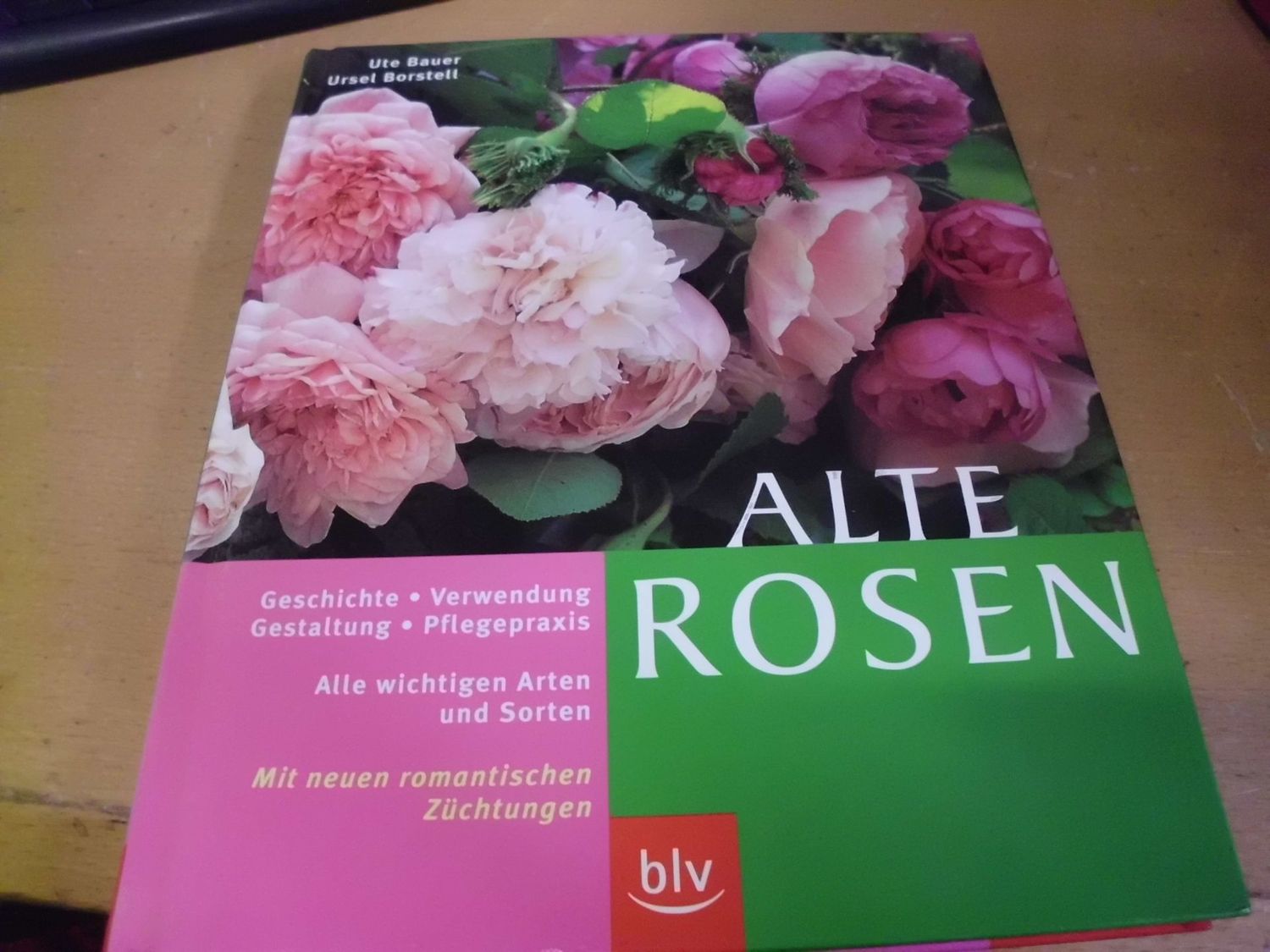 Alte Rosen