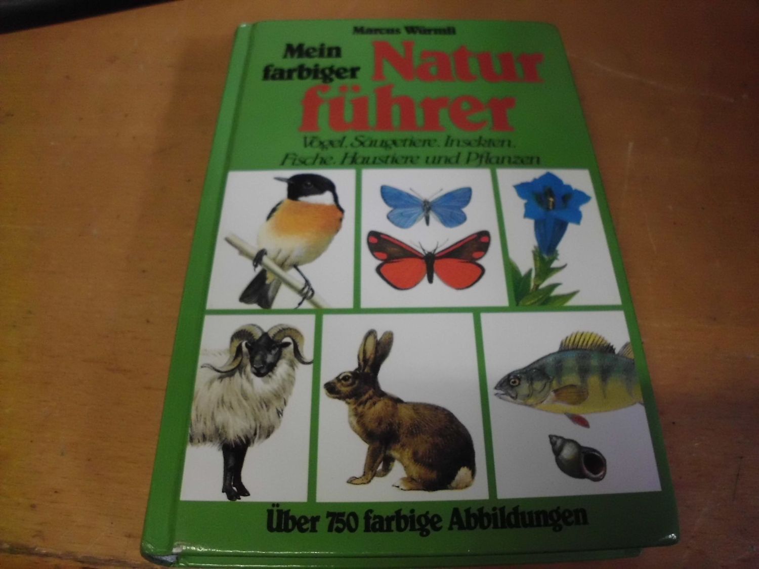 Mein farbiger Naturführer