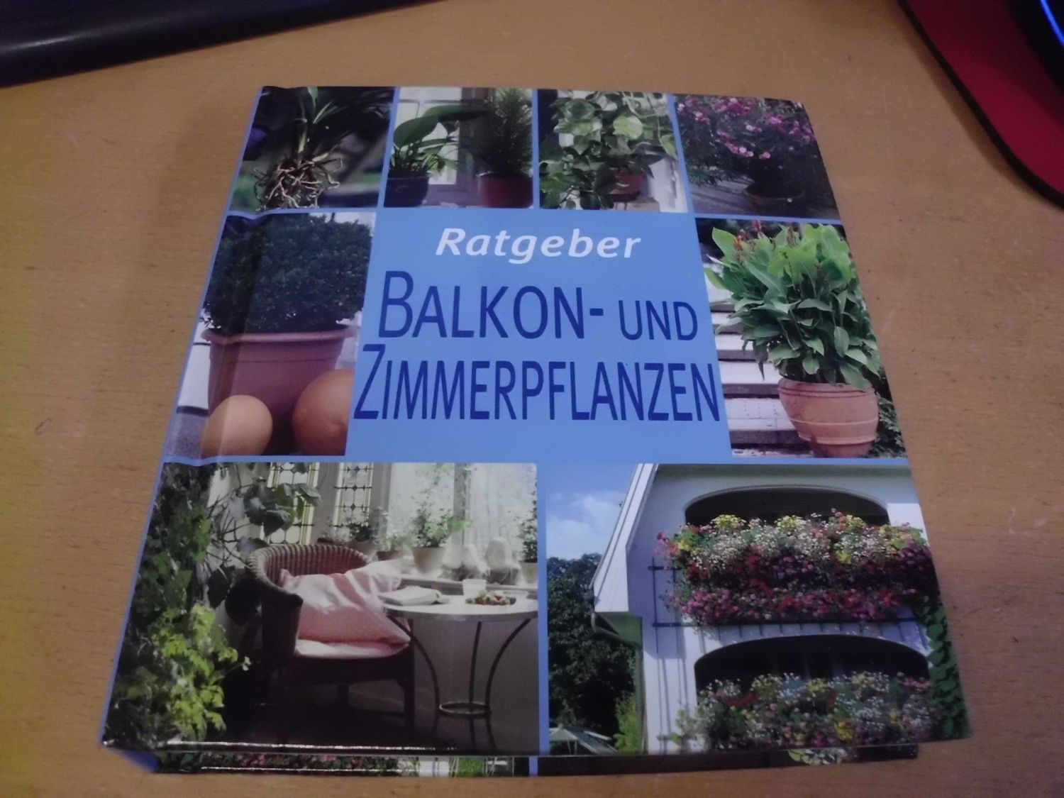 Balkon- und Zimmerpflanzen