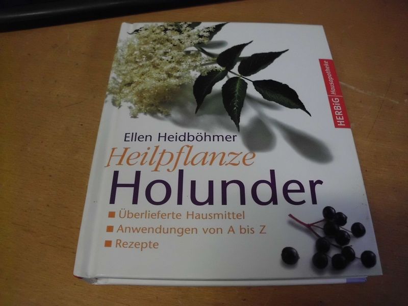 Heilpflanze Holunder