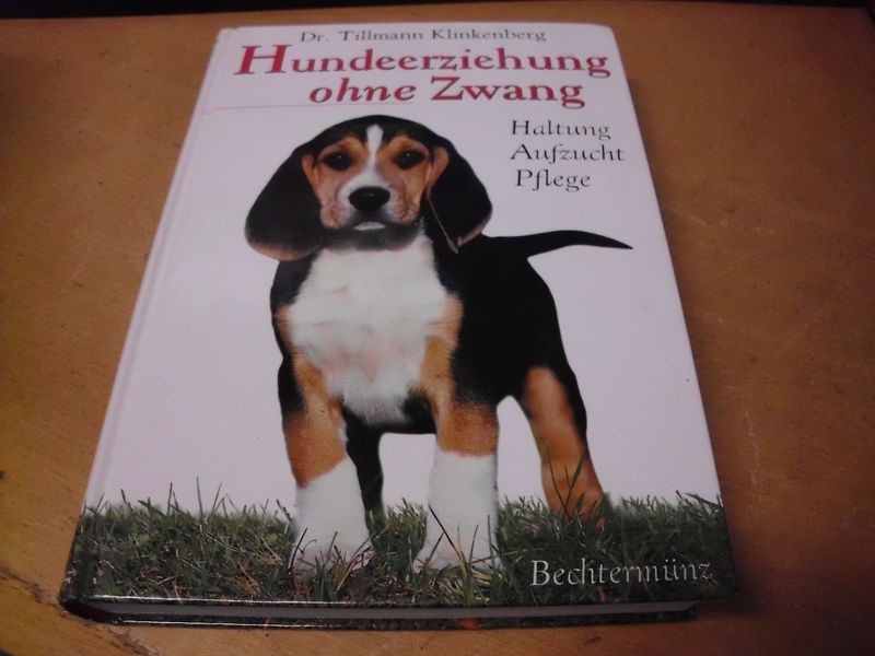 Hundeerziehung ohne Zwang