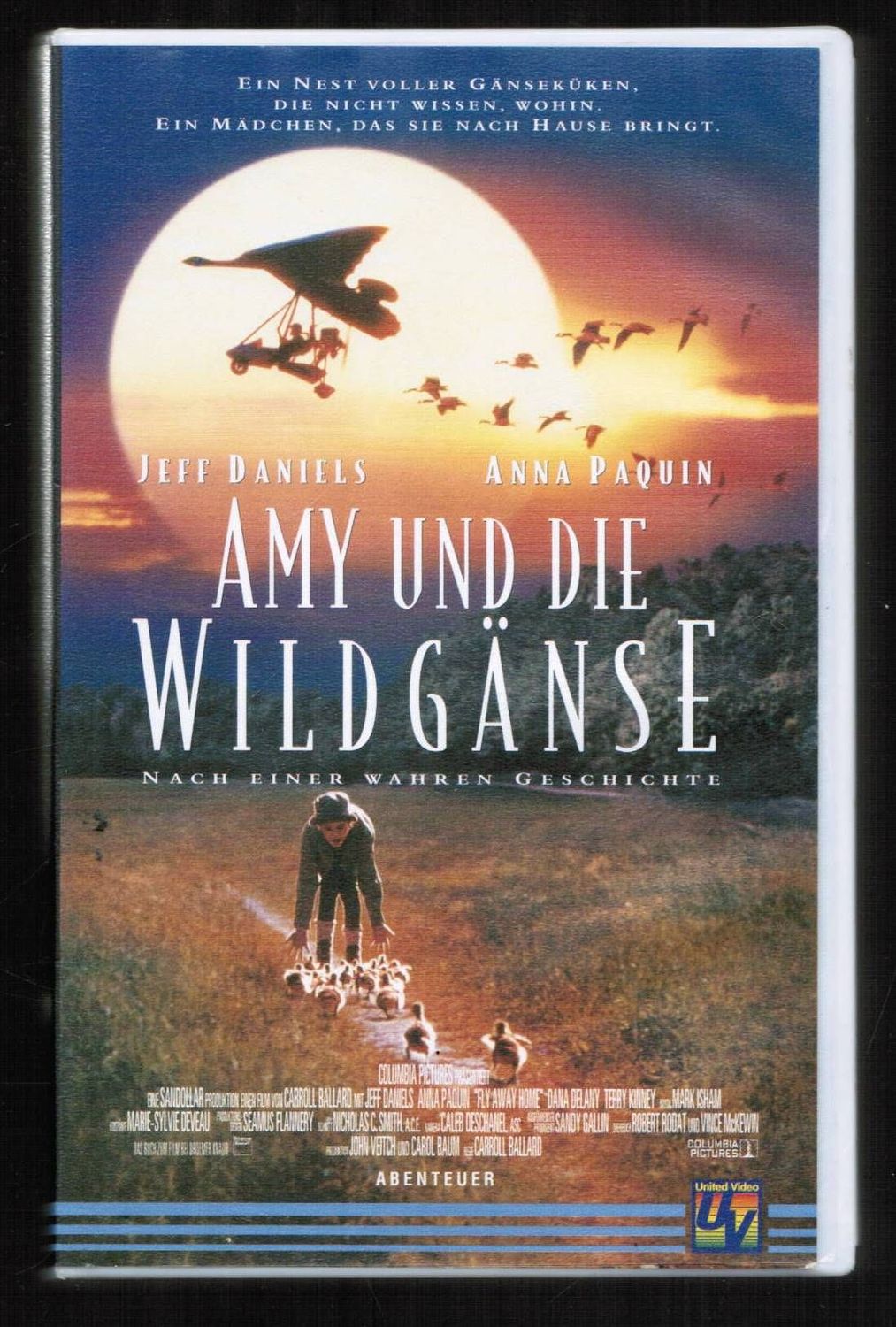 Amy und die Wildgänse