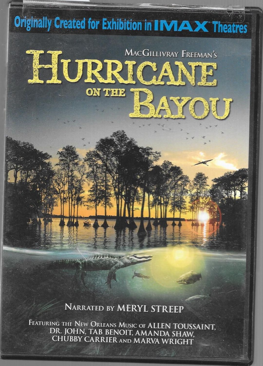 Hurricane on the Bayou