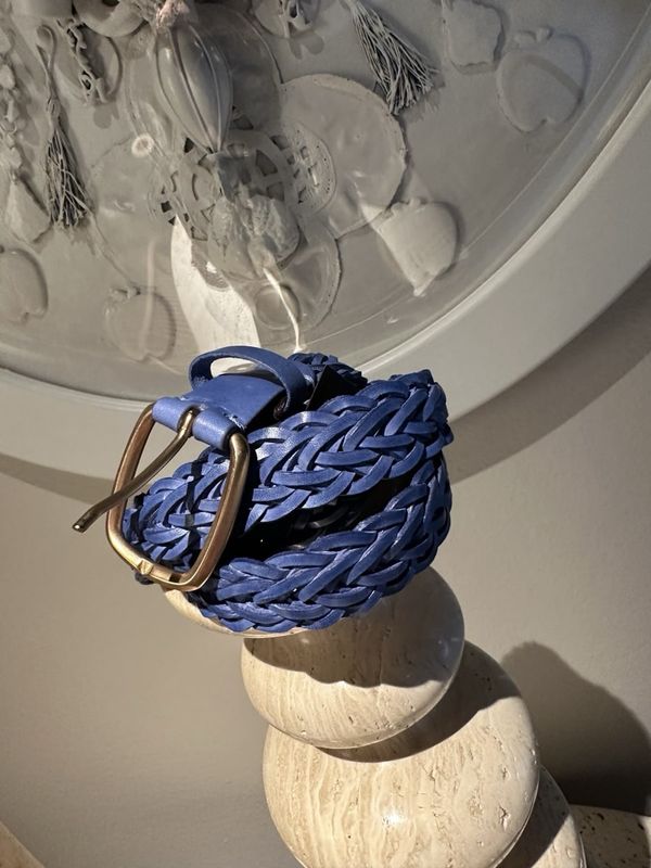 Reptile's House Amy Belt