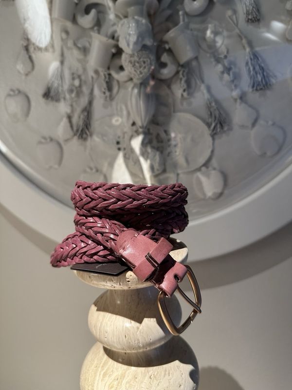 Reptile's House Amy Belt