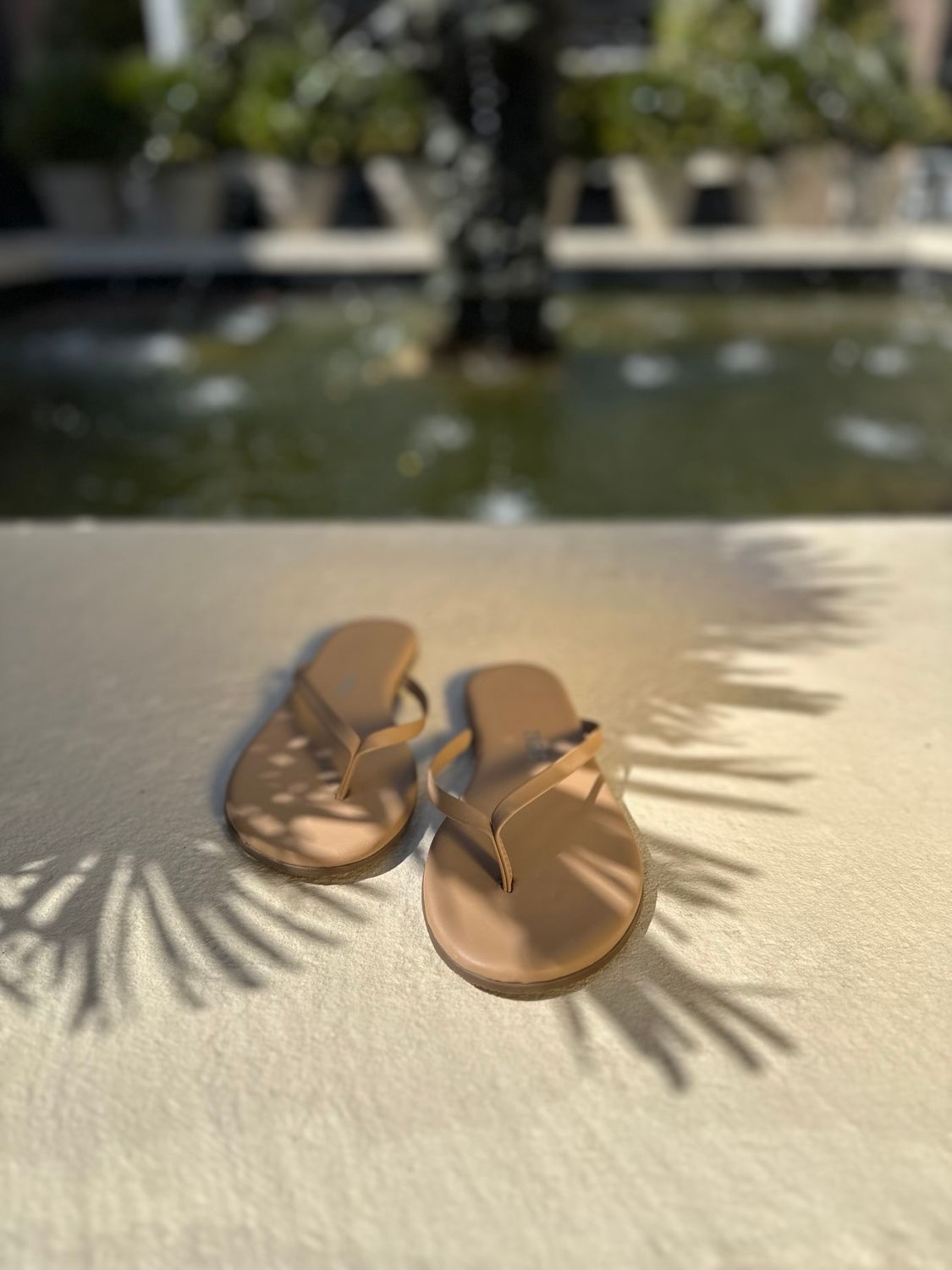 Tkees Flip Flop