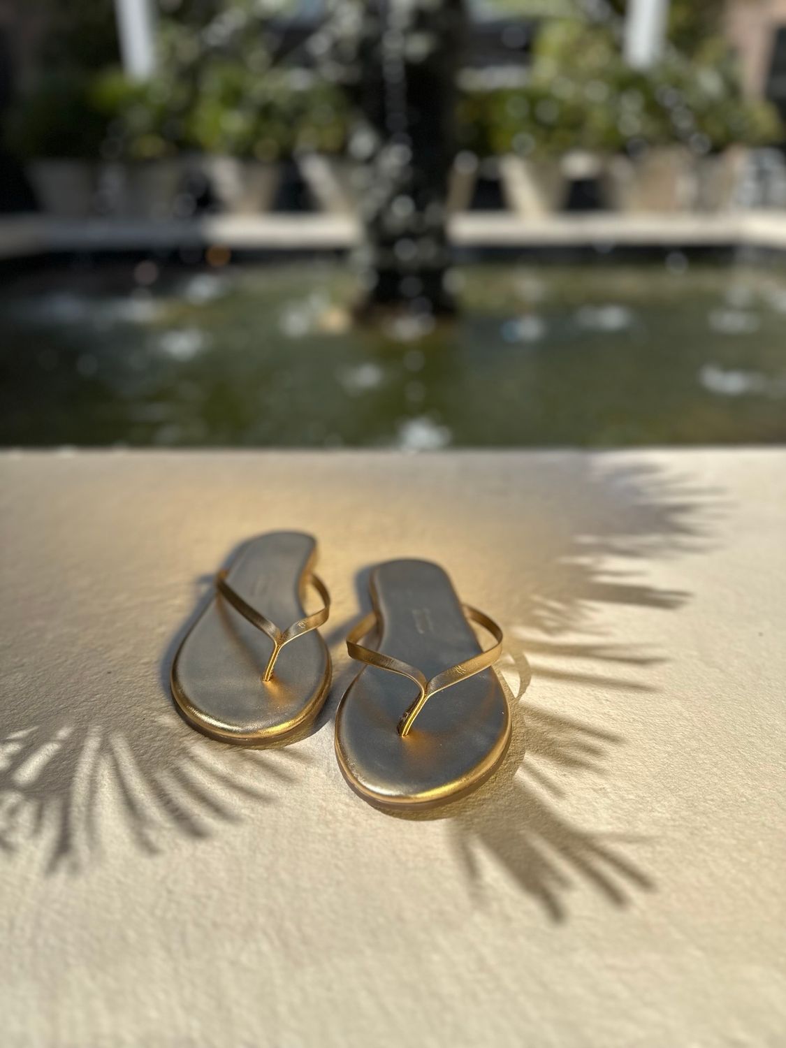 Tkees Flip Flop