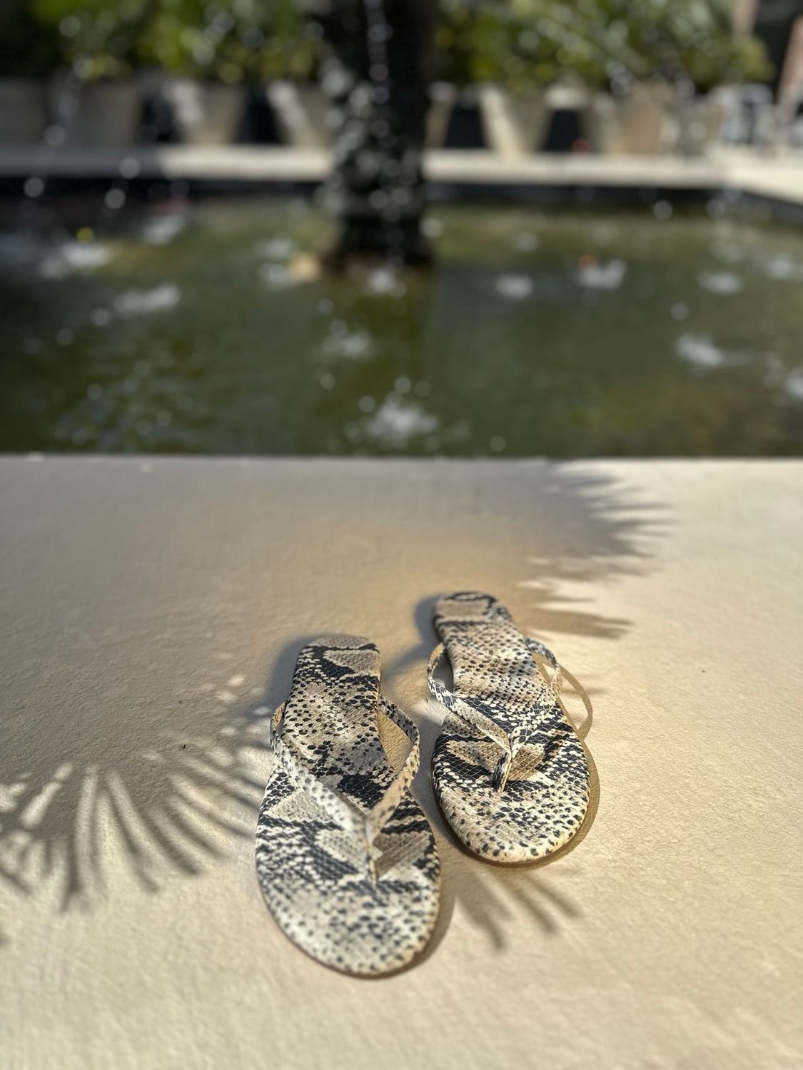 Tkees Flip Flop