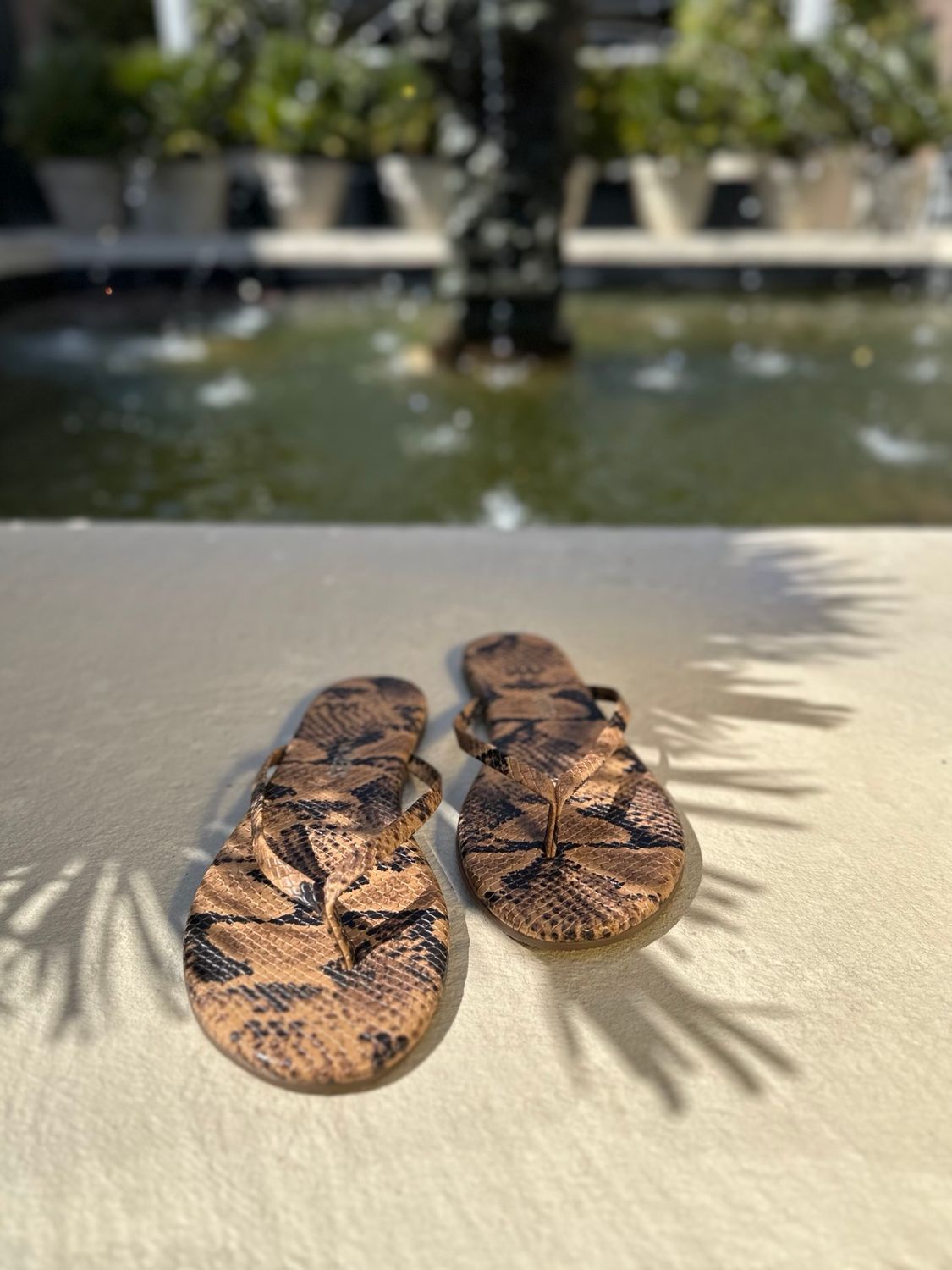 Tkees Flip Flop