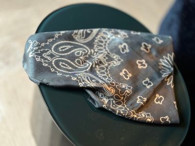Golden Goose Golden Foulard