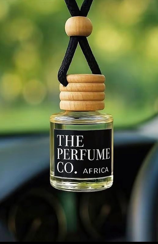 Car diffuser