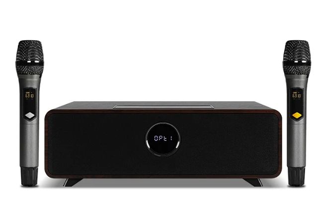 Barra Sonido Hs Karaoke 100watts Marrón