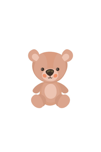 Plush Teddy Bear