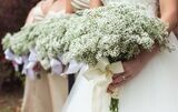 Bridal Bouquet - Babies Breath