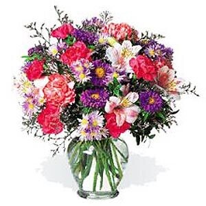 Carnations & Alstroemerias in a Vase