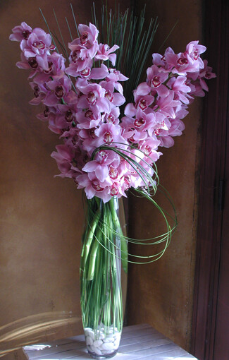 Cymbidium Orchids in Vase **