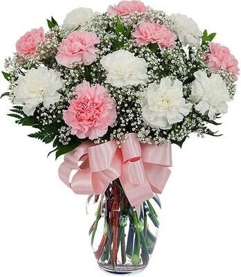 Dozen Mixed Carnations in a Vase