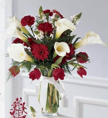 Red & White in a Vase
