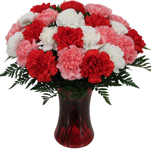 Two Dozen Carnations in a Vase