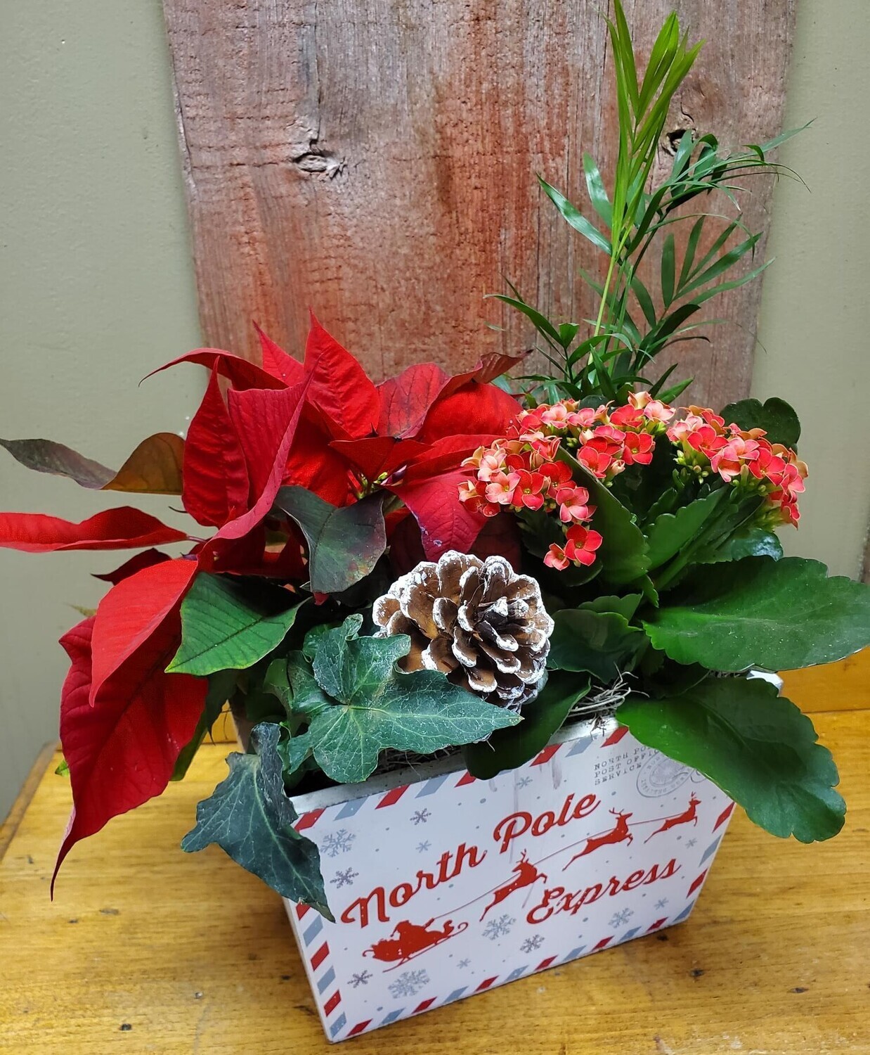 9" Wooden Wishlist Planter