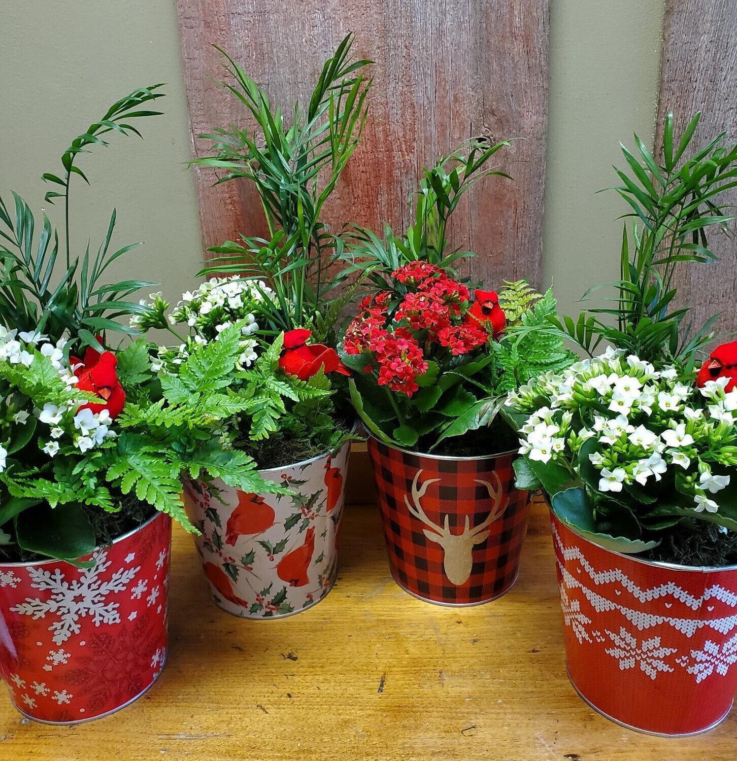 6" Metal Pot Festive Planter