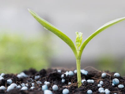 FERTILIZANTES PLANTAS &amp; CÉSPED