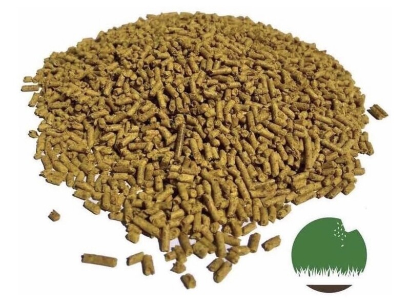 Insecticida - Hormiguicida Fipronil Cebo Granulado 500g