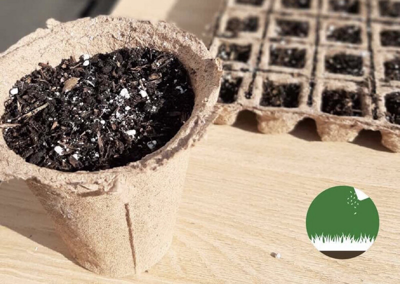 Semillero Biodegradable de 48 cavidades x 5 Unidades
