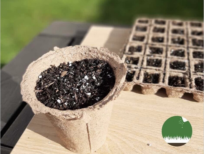 Maceta Biodegradable Grande x 10 Unidades