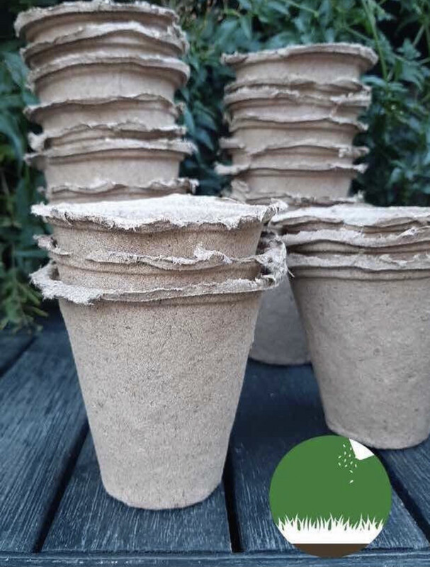 Maceta Biodegradable Chica x 10 Unidades