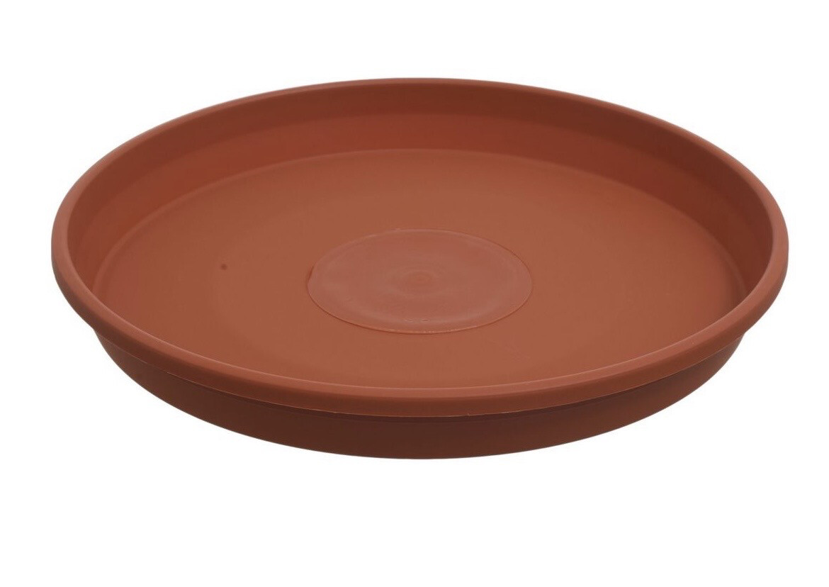 Plato 24 cm Plástico