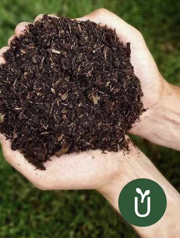 TIERRA NEGRA ABONADA CON MANTILLO 10 kg