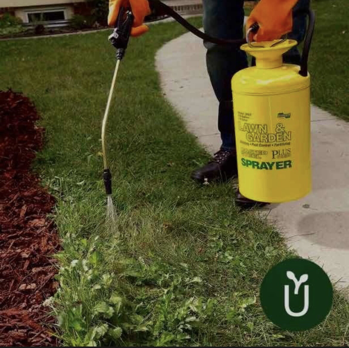 Herbicida Selectivo Ideal Césped 1 L - Malezas Hoja Ancha No Mata Césped