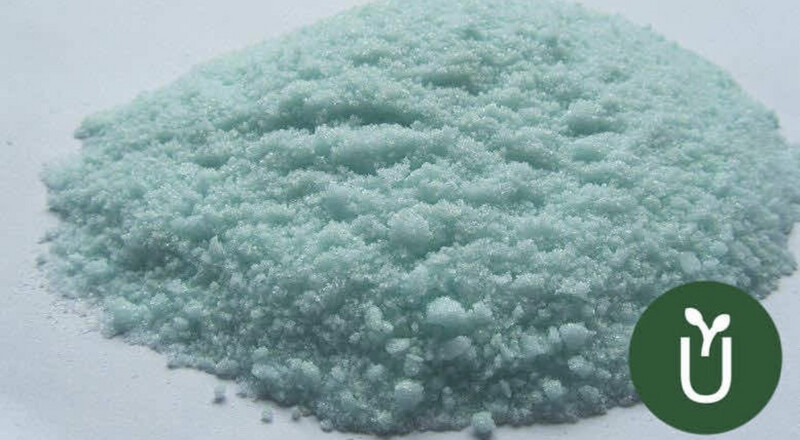 Fertilizante Sulfato De Hierro - Hojas Amarillas Plantas 500 gr 