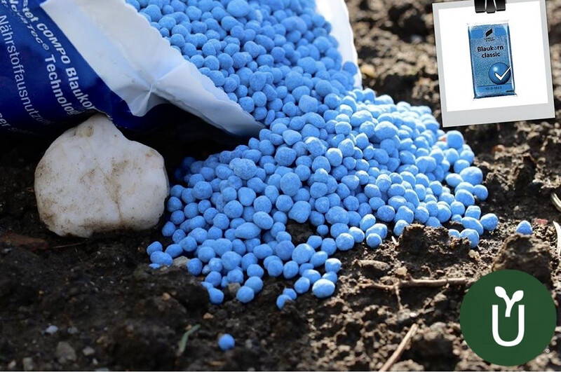 Fertilizante Nitrofoska Blaukorn N P K 12-8-16 (+3 + T E) - 5 kg