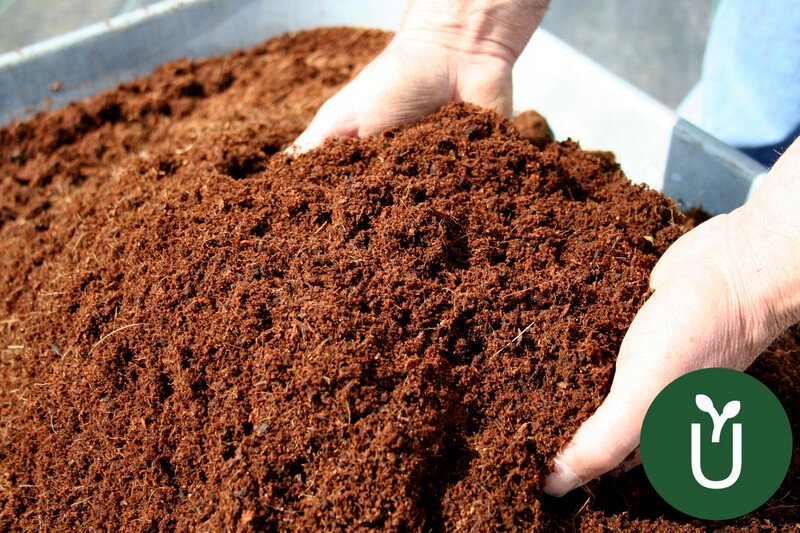 SUSTRATO INERTE FIBRA DE COCO - 5L