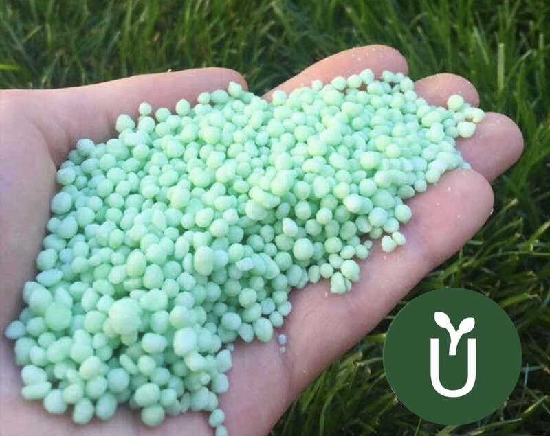 Urea Verde Liberación Lenta - Ideal Césped Planta Verdes - 5 kg